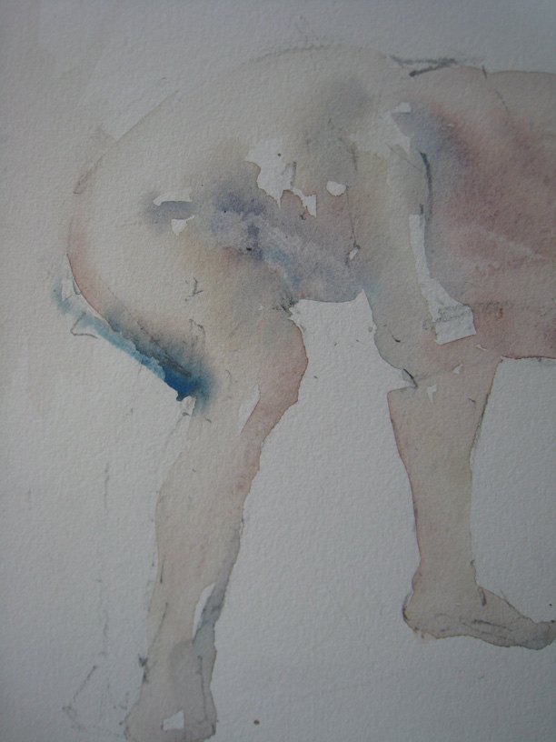 Watercolour 2